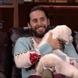 Jared Leto avec des golden retriever au Late Show With Jimmy Fallon.