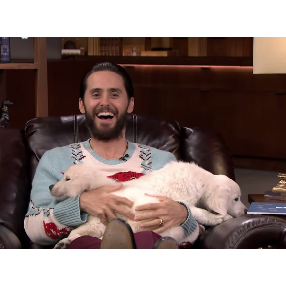 Jared Leto avec des Golden Retriever chez Jimmy Fallon.