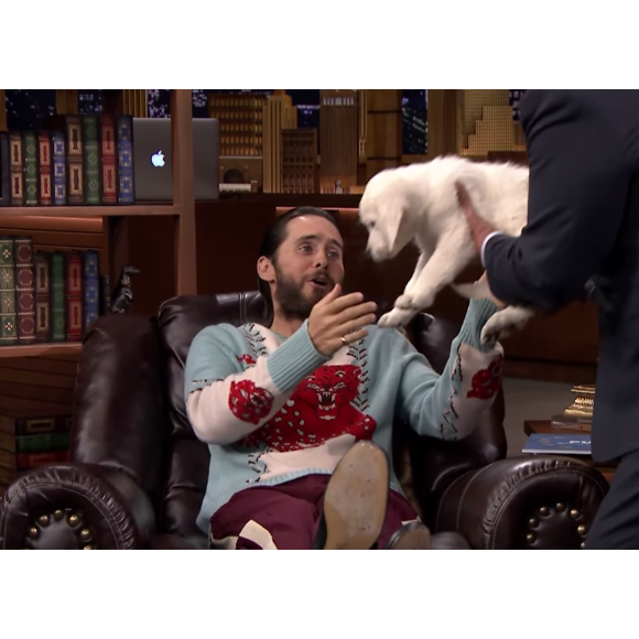 Jared Leto avec des golden retriever au Late Show With Jimmy Fallon.