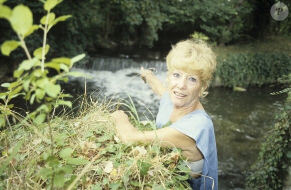 En France, à Autheuil dans l'Eure, Jacqueline Pagnol chez elle dans le jardin de sa maison de campagne le 14 août 1986