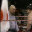 Harry Fujiwara, alias Mr. Fuji dans le monde de la WWE, est mort à 82 ans le 28 août 2016.