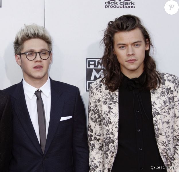 Liam Payne, Louis Tomlinson, Niall Horan et Harry Styles du groupe One direction à la 43ème cérémonie annuelle des "American music awards" à Los Angeles le 23 novembre 2015.