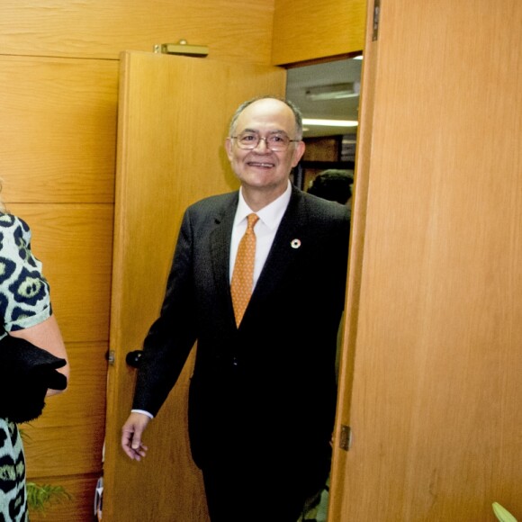La reine Maxima des Pays-Bas participe à une réunion sur le développement à Buenos Aires le 11 octobre 2016. Elle est l'avocate spéciale auprès du secrétaire général des Nations Unies Ban Ki-moon pour la finance inclusive. 11/10/2016 - Buenos Aires