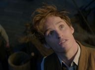 Harry Potter: J.K. Rowling annonce quatre films après "Les Animaux fantastiques"