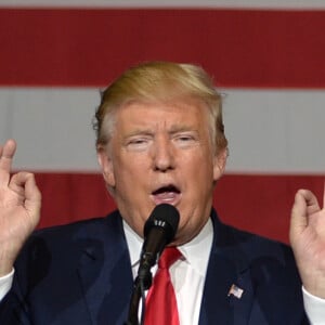 Le candidat républicain à l'élection présidentielle Donald Trump en campagne au centre South Florida Fairgrounds à West Palm Beach, Floride, Etats-Unis, le 13 octobre 2016.