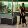 Michelle Hunziker avec son mari Tomaso Trussardi et leurs filles, Celeste et Sole, ainsi que des amis se rendent au musée d'histoire naturel de Milan le 22 octobre 2016.