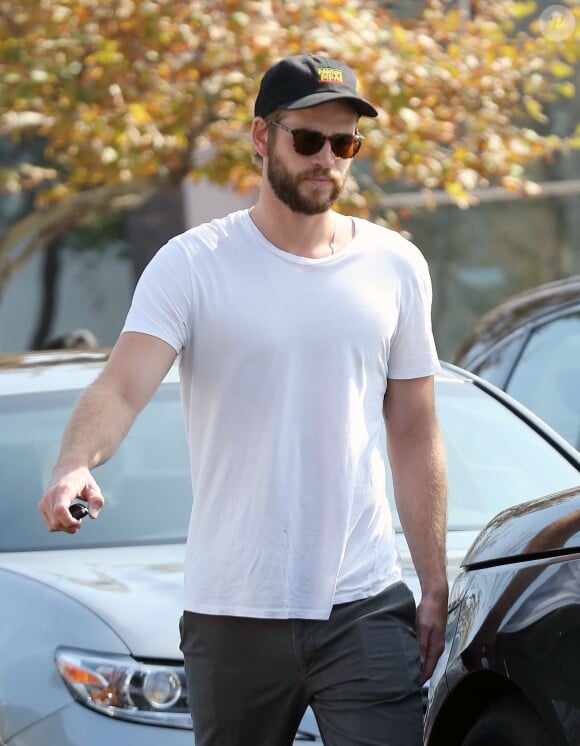 Liam Hemsworth est allé déjeuner avec des amis à Malibu, le 6 novembre 2016.