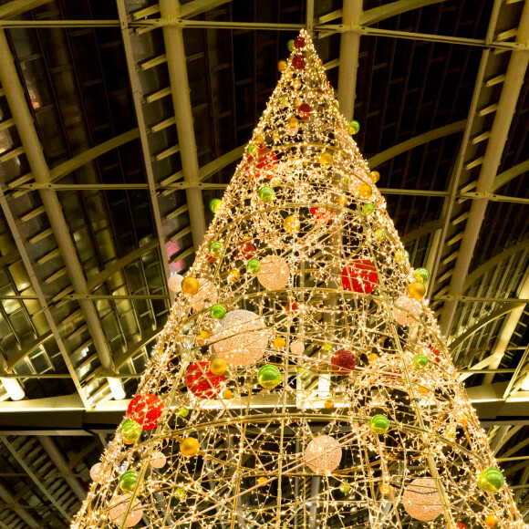 Caroline Receveur à l'illumination du sapin de Noël du Forum des Halles le 16 novembre 2016.