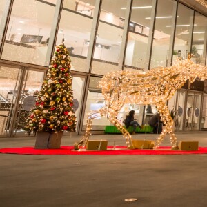 Caroline Receveur à l'illumination du sapin de Noël du Forum des Halles le 16 novembre 2016.