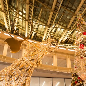 Caroline Receveur à l'illumination du sapin de Noël du Forum des Halles le 16 novembre 2016.