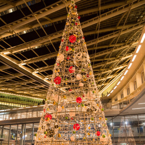 Caroline Receveur à l'illumination du sapin de Noël du Forum des Halles le 16 novembre 2016.