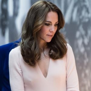 La duchesse Catherine de Cambridge découvrant à la National Portrait Gallery à Londres le 4 mai 2016 l'expo Vogue 100: A Century of Style, dont deux photos d'elle-même. En janvier 2017, la Royal Photographic Society a annoncé que Kate était faite membre honoraire à vie de l'organisation.