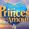 Logo "Les Princes de l'amour 4" sur W9.