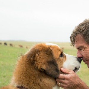 Dennis Quaid dans Mes vies de chien.