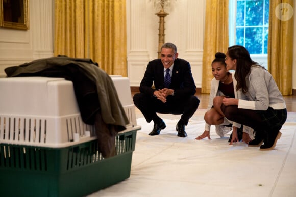 Barack Obama et ses filles Malia et Sasha à la Maison Blanche à Washington le 26 novembre 2014