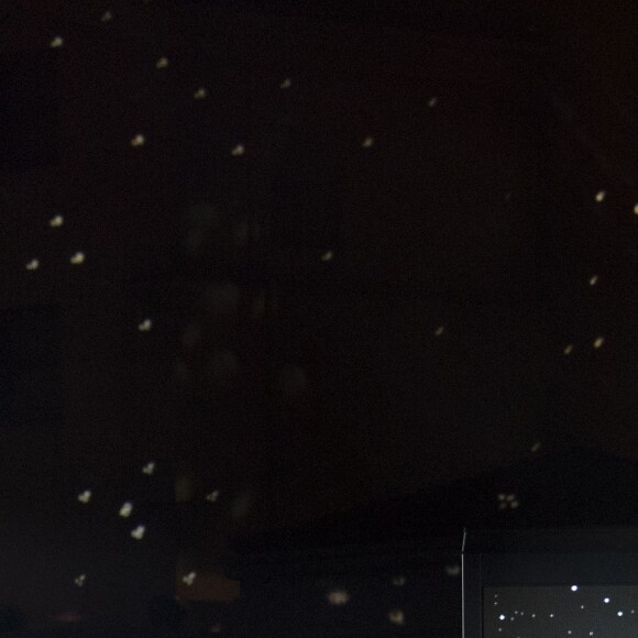 Ambiance - Les personnages de Star Wars font le show à Disneyland Paris pour "La Saison de la Force" le 21 janvier 2017