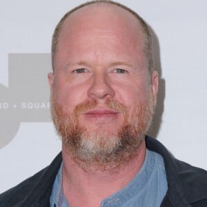 Joss Whedon à la 3ème soirée annuelle ''Make Equality Reality'' à Beverly Hills, le 5 décembre 2016