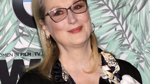 Meryl Streep attaquée par Karl Lagerfeld : L'actrice s'énerve et dénonce...