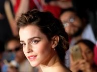 Emma Watson divine pour La Belle et la bête malgré les attaques violentes