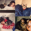 Nina Dobrev pleure la mort de son chat sur Instagram, le 27 mars 2017.