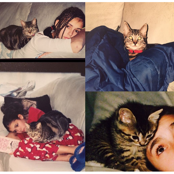 Nina Dobrev pleure la mort de son chat sur Instagram, le 27 mars 2017.