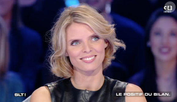 Sylvie Tellier sur le plateau de "Salut les Terriens !" sur C8. Le 15 avril 2017.