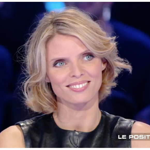 Sylvie Tellier sur le plateau de "Salut les Terriens !" sur C8. Le 15 avril 2017.