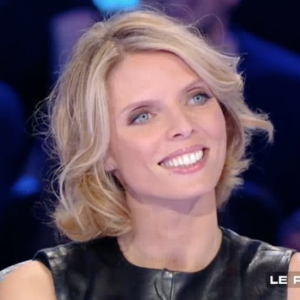 Sylvie Tellier sur le plateau de "Salut les Terriens !" sur C8. Le 15 avril 2017.