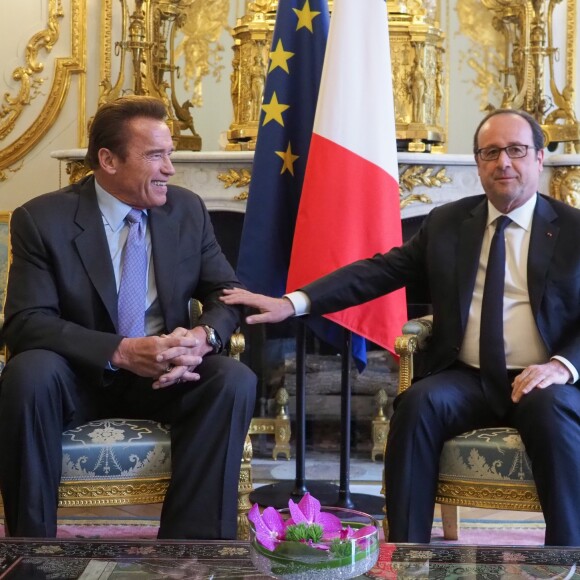 François Hollande remet les insignes de la Légion d'honneur à Arnold Schwarzenegger pour son engagement en faveur de l'environnement au palais de l'Elysée à Paris le 28 avril 2017