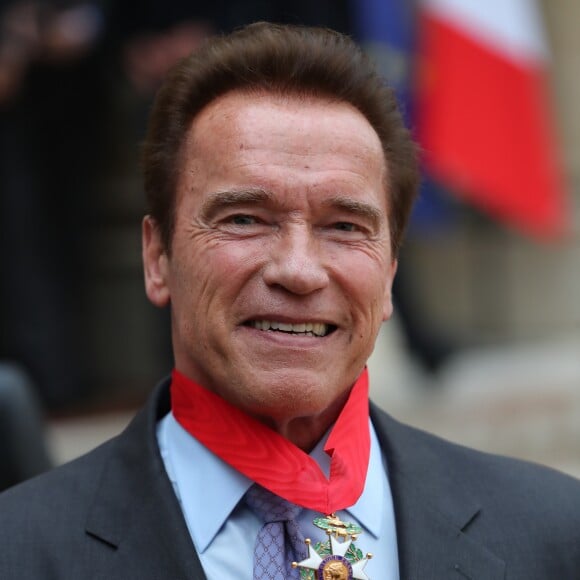 François Hollande remet les insignes de la Légion d'honneur à Arnold Schwarzenegger pour son engagement en faveur de l'environnement au palais de l'Elysée à Paris le 28 avril 2017