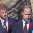 Le prince William, duc de Cambridge, et le Prince Harry lors des commémorations des 100 ans de la bataille de Vimy, le 9 avril 2017.