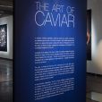 Vernissage de l'exposition "The Art of Caviar", célébrant les 30 ans de la collection "Skin Caviar" de La Prairie. Paris, le 4 juillet 2017.