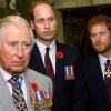 Le prince Charles, prince de Galles, le prince William, duc de Cambridge et le prince Harry visitent les tunnels de Vimy lors des commémorations des 100 ans de la bataille de Vimy, au Mémorial national du Canada, à Vimy, le 9 avril 2017.
