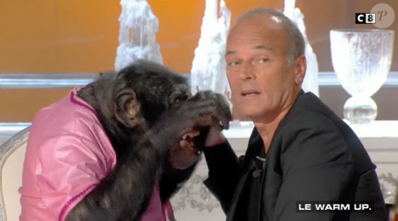 Un chimpanzé s'en prend à Robert Charlebois sur le plateau de "Salut les Terriens !" sur C8. Le 7 octobre 2017.