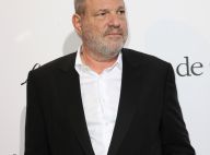 Harvey Weinstein, "le Porc" : Ses soirées cannoises, entre partouzes et cocaïne