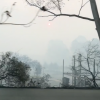 Levi Leipheimer a filmé les parages désolés de sa maison de Santa Rosa, dans le comté de Sonoma en Californie, en octobre 2017 suite au passage des incendies dévastateurs. Image Instagram.