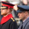 Le prince William et le prince Harry à Londres le 12 novembre 2017 lors du Dimanche du Souvenir, commémoration sur le Cénotaphe de Whitehall des soldats tombés au champ d'honneur lors des deux Guerres mondiales.
