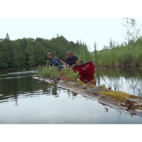 Elie Semoun découvre des plantes carnivores dans l'épisode 3 de son voyage en Ontario avec Canada Diem, à la découverte du Parc Algonquin dans la région des grands lacs.