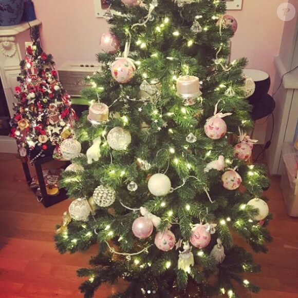 L'adorable fille de Laurence Boccolini, Willow, a décoré le sapin de Noël.