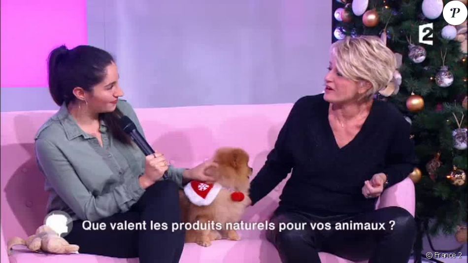 Sophie Davant mordue par un chien - &quot;C&#039;est au programme&quot;, France 2, mercredi 20 décembre 2017