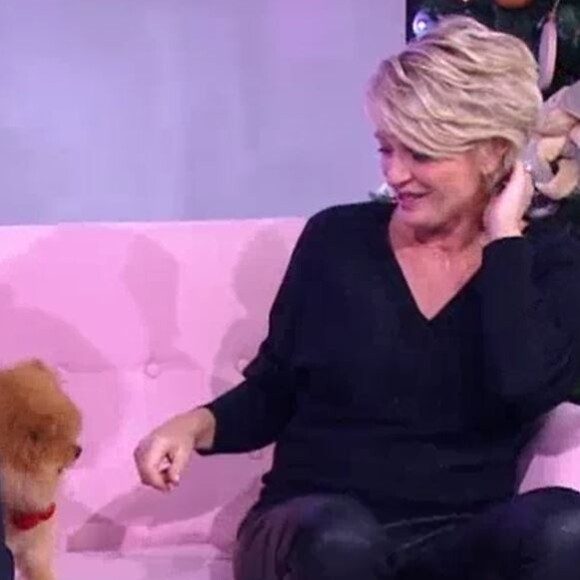 Sophie Davant - "C'est au programme", France 2, 20 décembre 2017