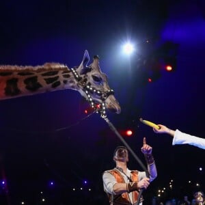 La princesse Stéphanie de Monaco donne une banane à la girafe de Jozsef Richter lors de la soirée d'ouverture du 42e Festival International du Cirque de Monte-Carlo le 16 janvier 2018. © Olivier Huitel/Pool/Bestimage