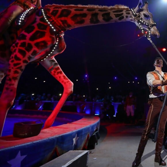 La princesse Stéphanie de Monaco donne une banane à la girafe de Jozsef Richter lors de la soirée d'ouverture du 42e Festival International du Cirque de Monte-Carlo le 16 janvier 2018. © Olivier Huitel/Pool/Bestimage