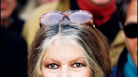 Brigitte Bardot, la naissance de son fils : "J'étais totalement à la dérive"