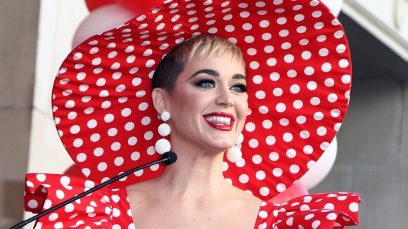Katy Perry : Son harceleur se fait expulser des États-Unis !