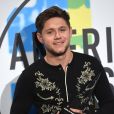 Niall Horan à la soirée American Music awards 2017 au théâtre Microsoft à Los Angeles, le 19 novembre 2017 © Chris Delmas/Bestimage