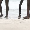 Exclusif - Noémie Lenoir et Iris Mittenaere font une balade à cheval sur la plage dans le cadre de leur séjour à Abidjan à l'occasion du 20ème anniversaire de la fondation "Children of Africa", le 17 mars 2018. © Dominique Jacovides/Bestimage