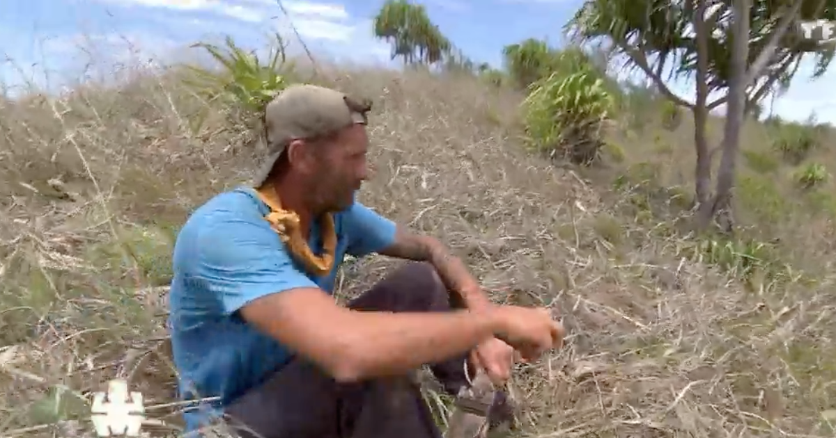 Pascal coursework image