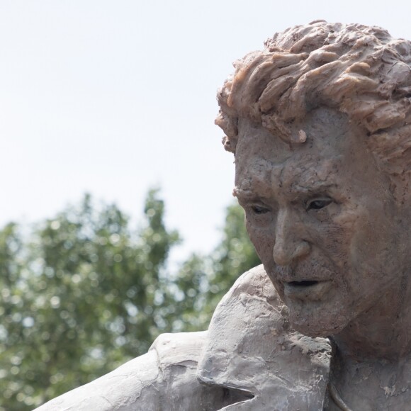 Les fans de Johnny Hallyday découvrent la statue de leur idole sur le terrain du restaurant "Le Tennessee" à Donzère à côté de Viviers-sur-Rhône, France, le 16 juin 2018.