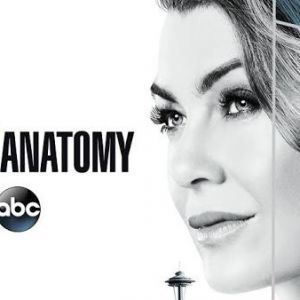 Grey's Anatomy, série de la chaîne ABC